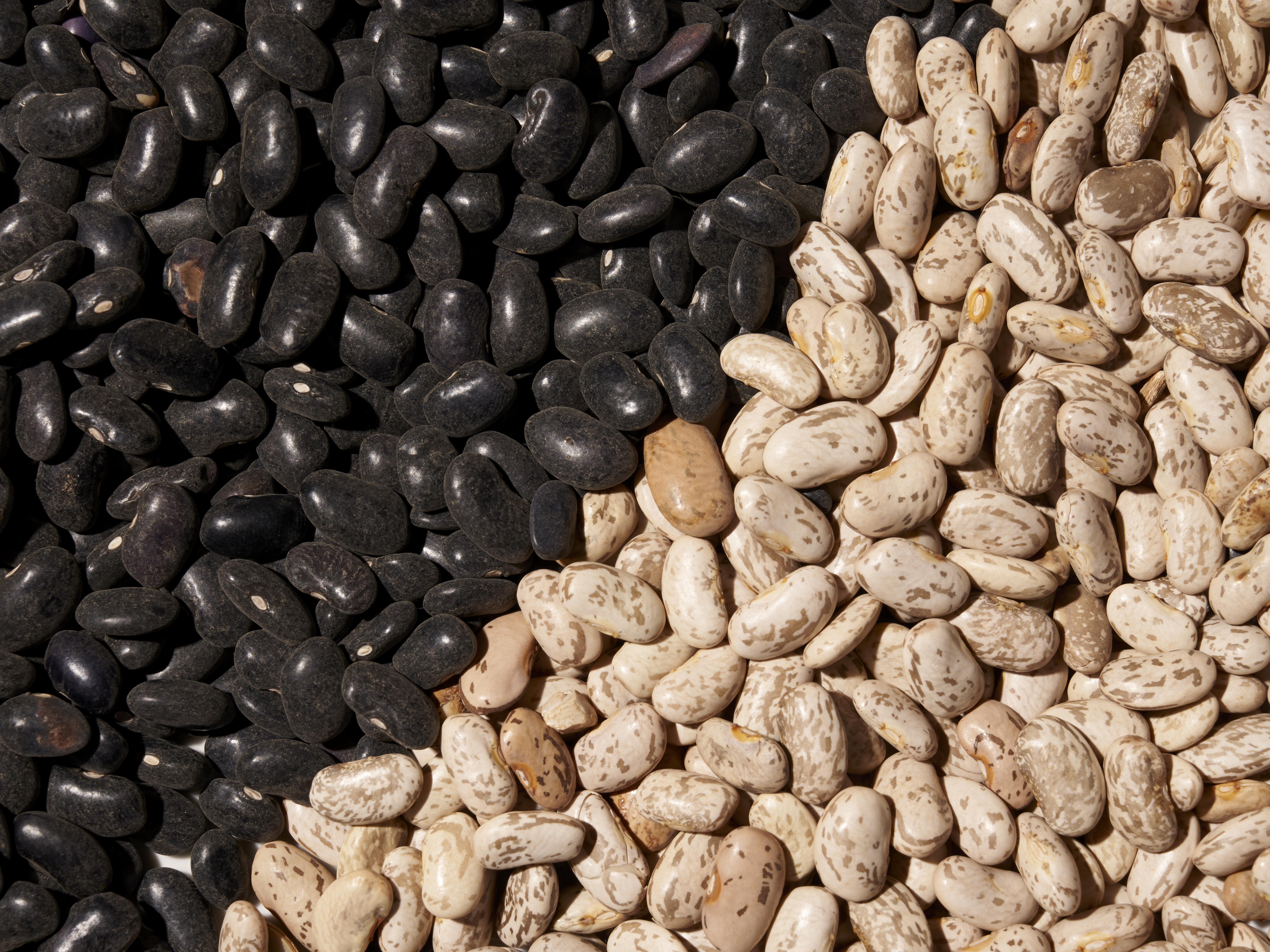 Granos y cereales